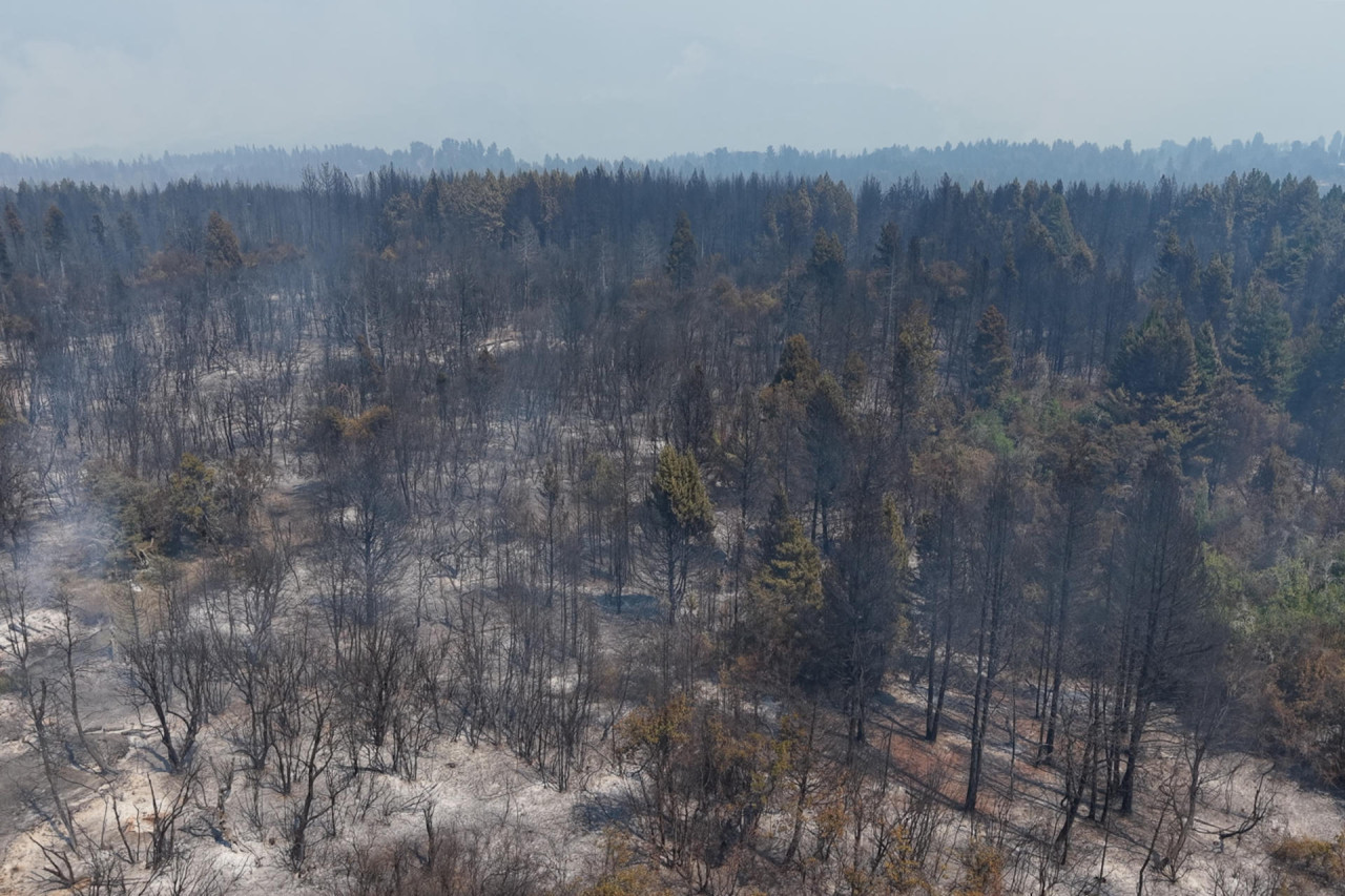 Incendios forestales en El Bolsón, Río Negro. Foto: EFE.