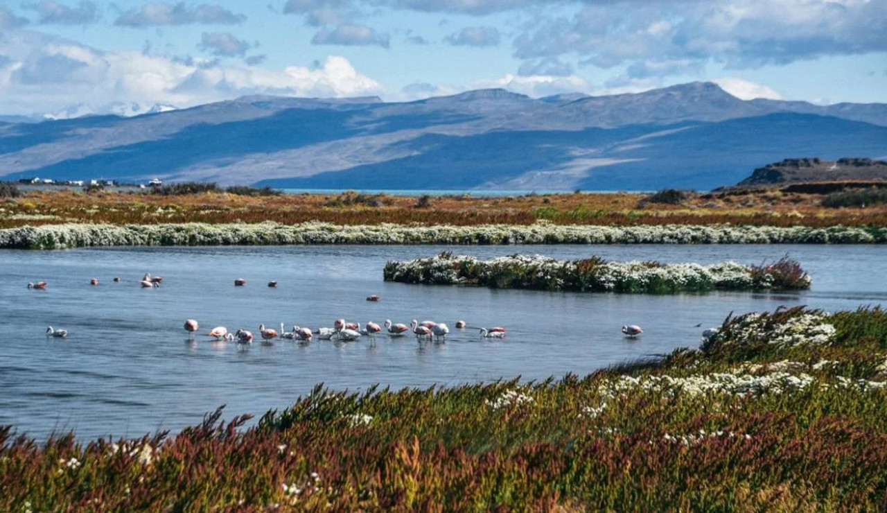 Reserva Laguna Nimez, Santa Cruz, Patagonia. Foto NA