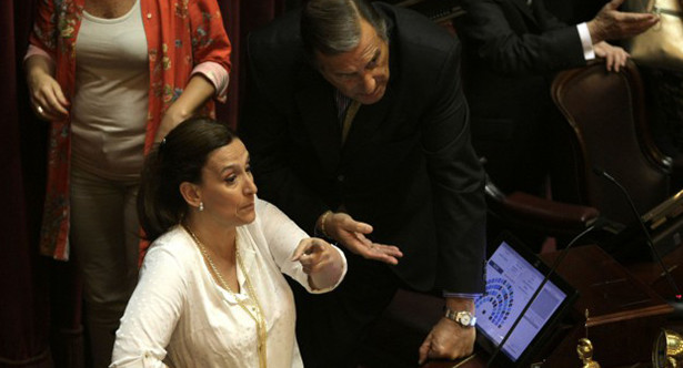 Michetti en el Senado