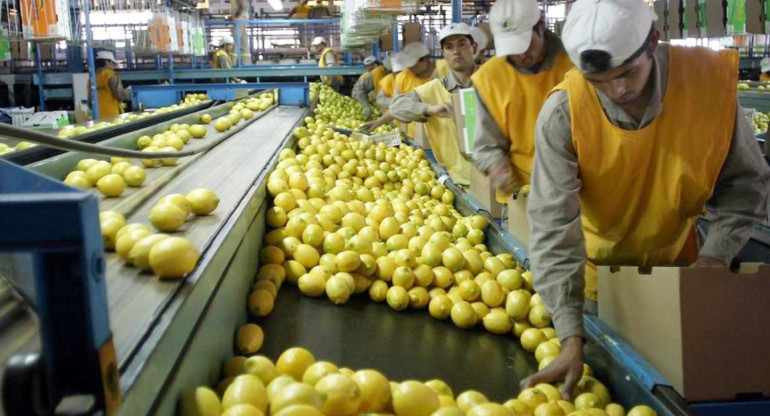 Limones de Argentina