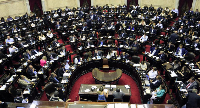 Cámara de Diputados (NA)