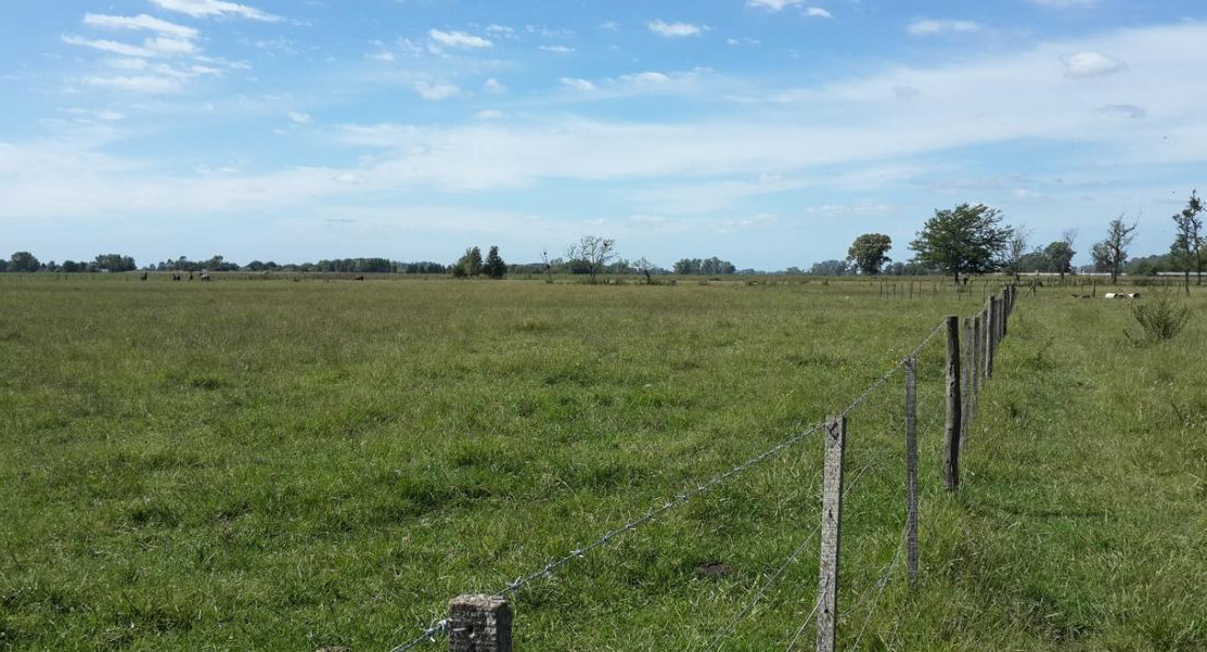 Campo - Tranquera - Agrarios