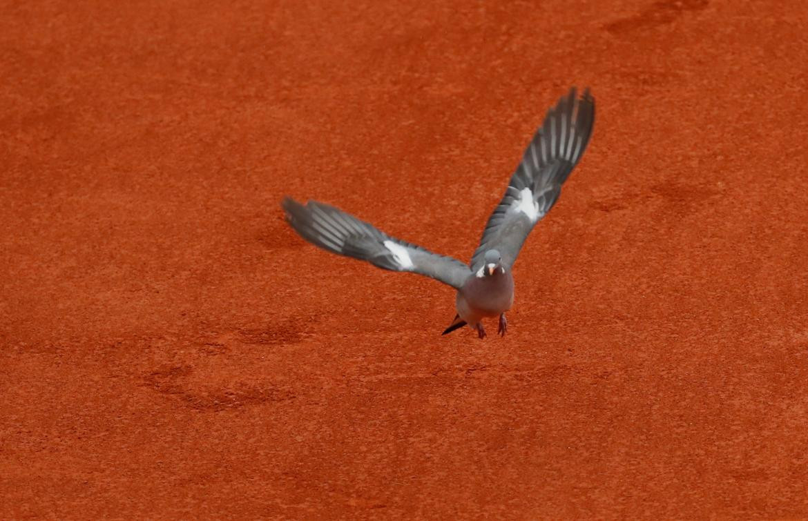 Roland Garros, Reuters