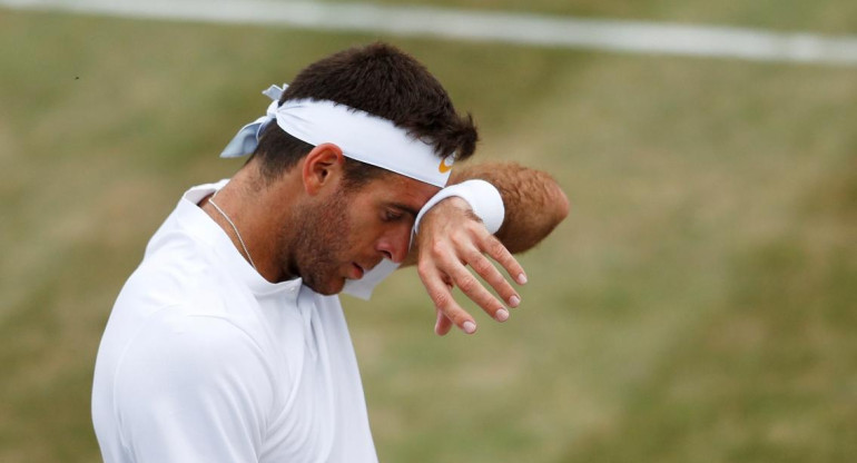 Del Potro - Wimbledon (Reuters)