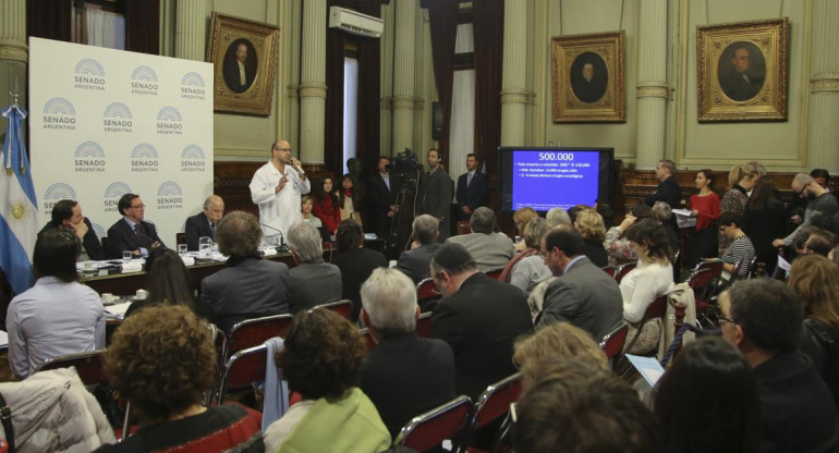 Debate por el aborto legal en el Senado (NA)