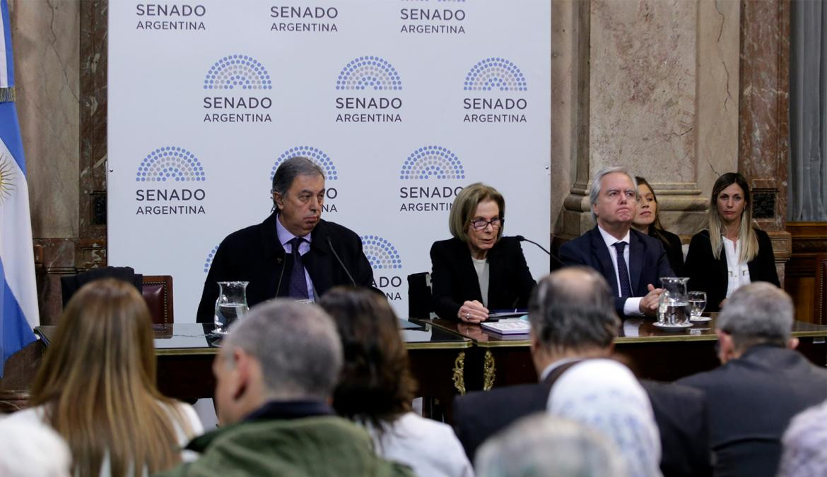 debate por aborto legal en el Senado (NA)