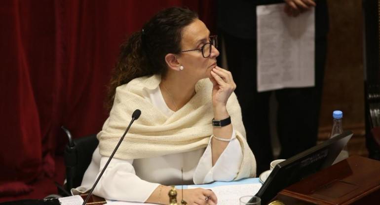 Michetti - Senado - debate por el aborto