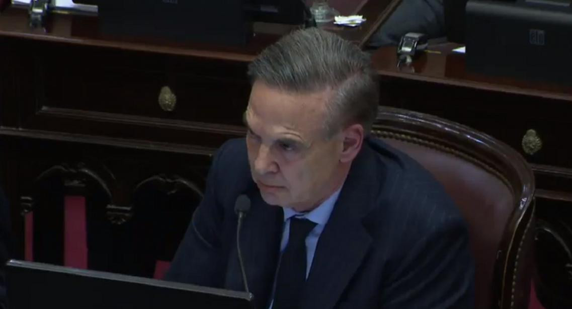 Miguel Ángel Pichetto en el Senado - Foto captura