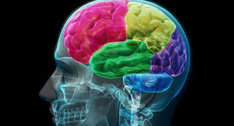 Enfermedad neurológica, cerebro, Parkinson, accidente cerebrovascular (ACV), demencia