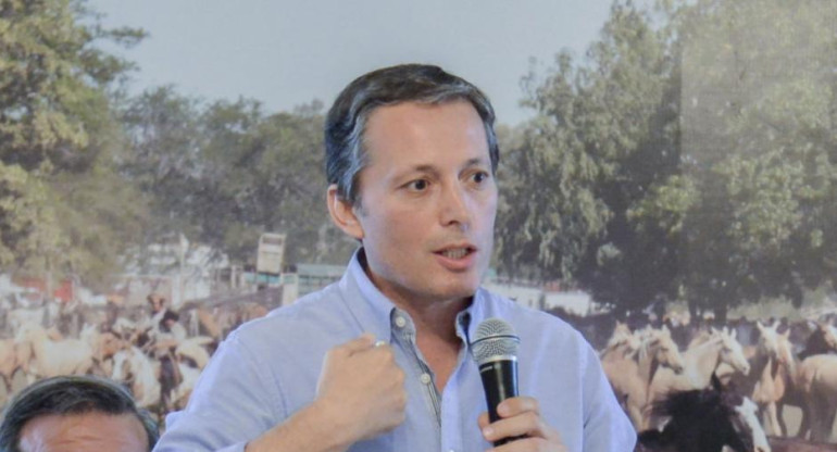 Fernando Gray, política, NA