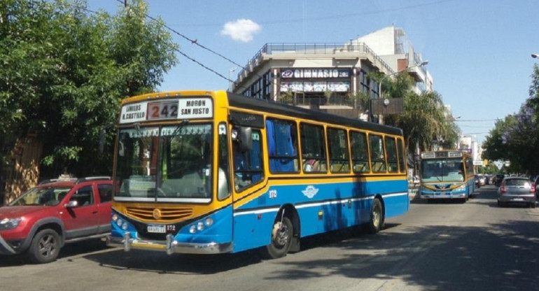 Colectivo línea 242, transporte público, tránsito