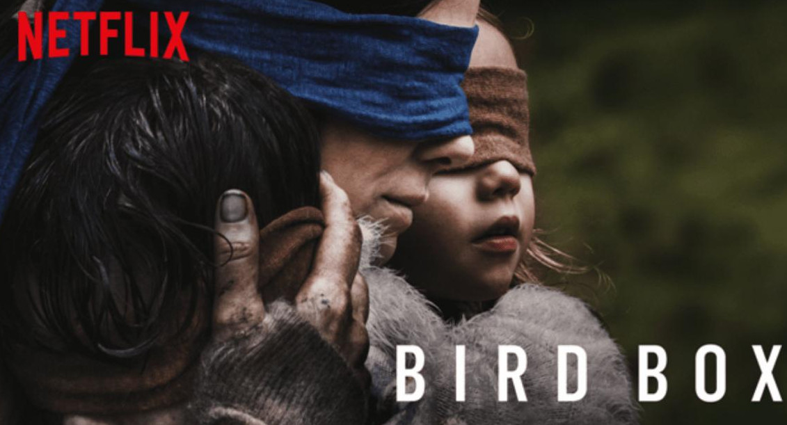 bIRDBOX