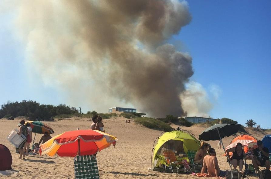 Incendio forestal - Villa Gesell