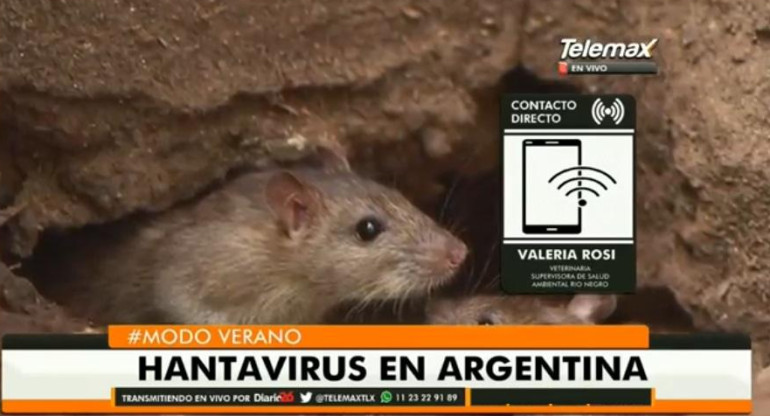 Valeria Rosi sobre Hantavirus en Radio Latina