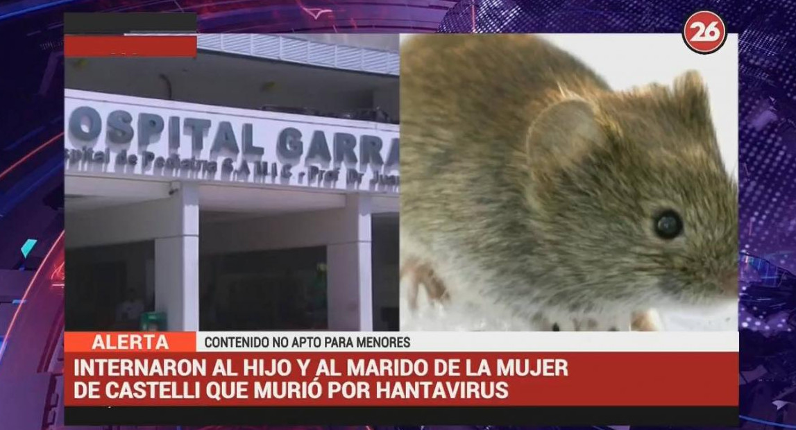 Internación de hijo y marido de víctimas fatales de hantavirus en Castelli (Canal 26)