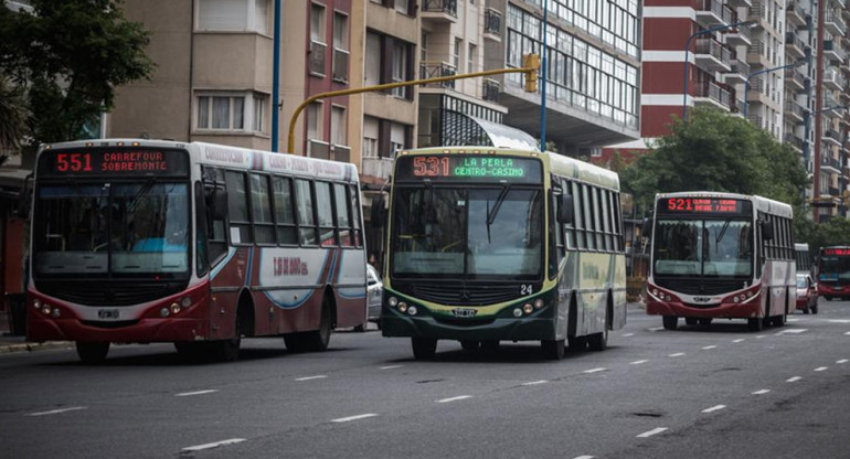 Colectivos en Mar del Plata