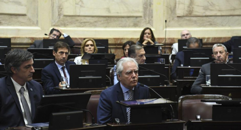 Senado, Federico Pinedo, autoridades, NA