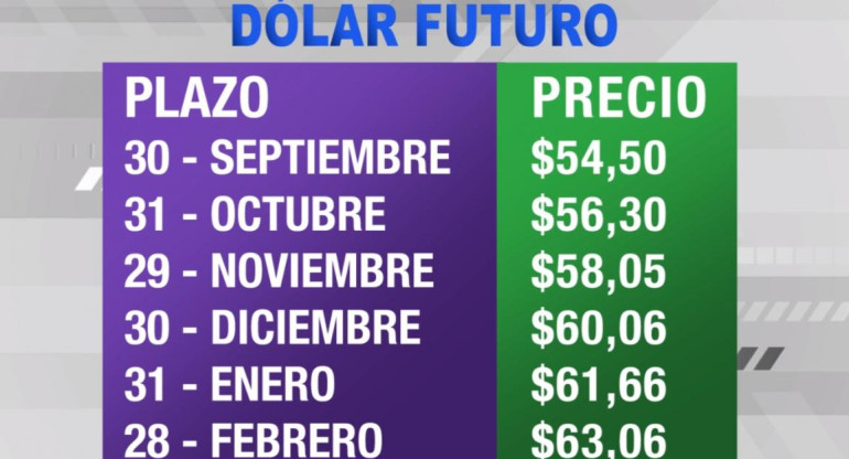 Dólar futuro, cotizaciones septiembre 2019 febrero 2020, economía argentina, CANAL 26