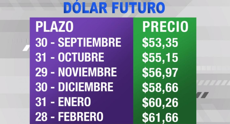 Dólar futuro, cotizaciones septiembre 2019 febrero 2020, economía argentina, CANAL 26