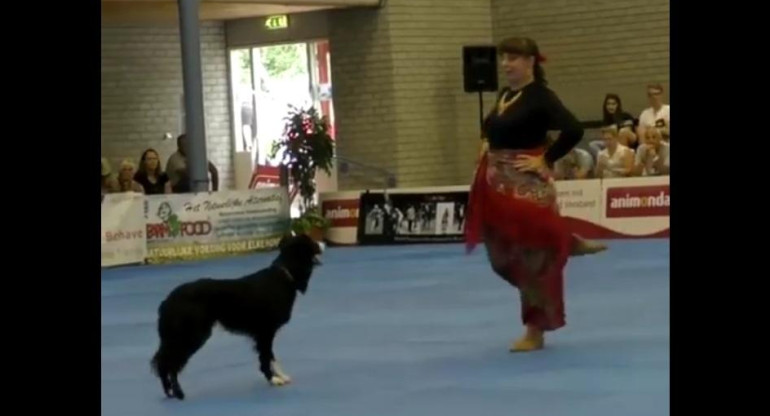 Video viral: Perro que baila en coreografía