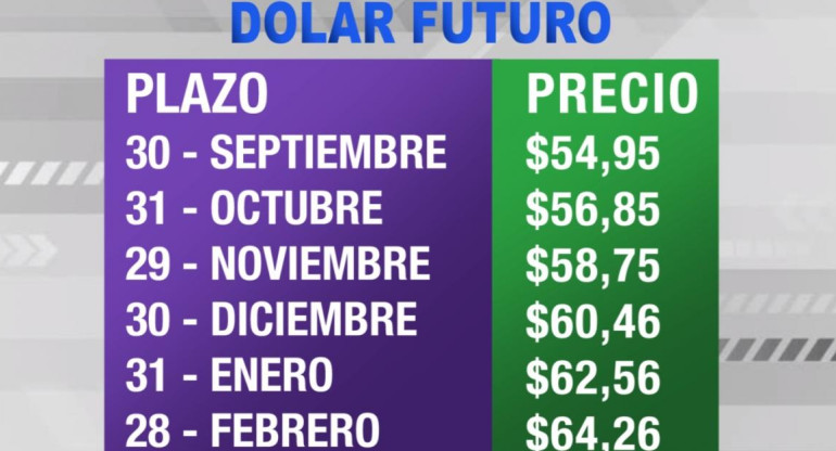 Dólar futuro, cotizaciones septiembre 2019 febrero 2020, economía argentina, CANAL 26