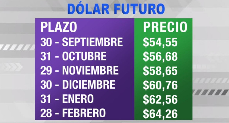 Dólar futuro, cotizaciones septiembre 2019 febrero 2020, economía argentina, CANAL 26