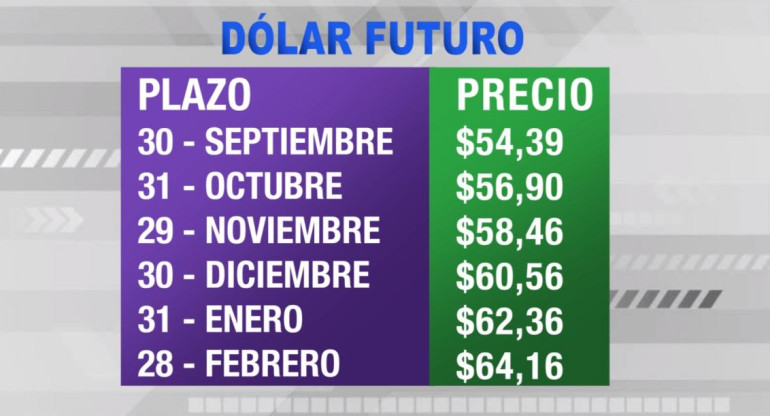 Dólar futuro, cotizaciones septiembre 2019 febrero 2020, economía argentina, CANAL 26