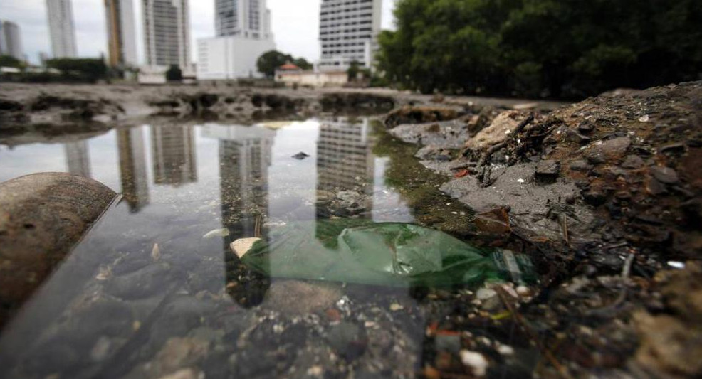 Día Internacional de la Tierra: los 5 problemas que enfrenta el medio ambiente	