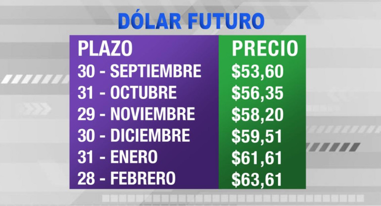 Dólar futuro, cotizaciones septiembre 2019 febrero 2020, economía argentina, CANAL 26