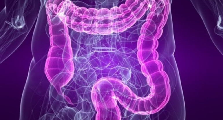 Colón, Cáncer de colon, intestino, salud