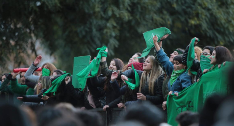 Marcha por Aborto legal - Pañuelos verdes - Proyecto de Ley - Congreso - NA