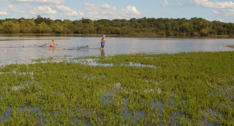 Río Uruguay - estudio Conicet