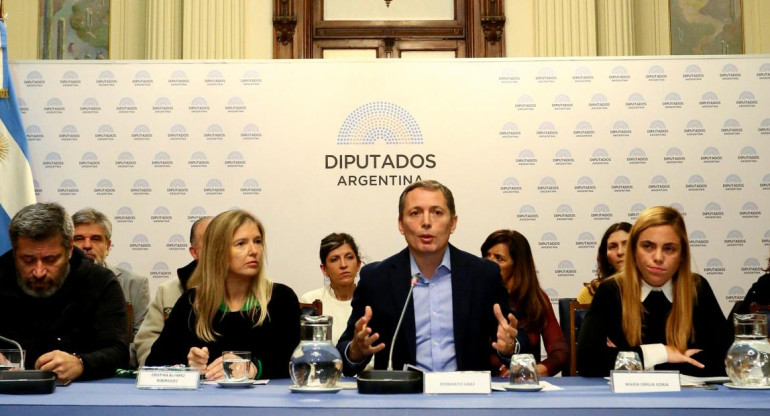 Oposición en el Congreso, escrutinio provisorio, elecciones 2019, política, NA