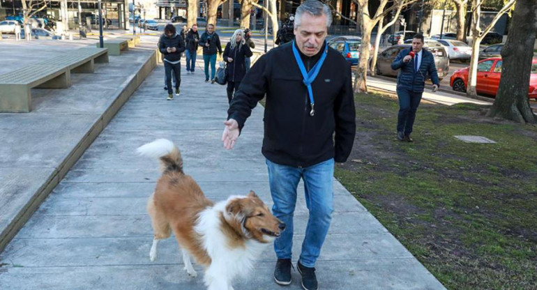 Alberto Fernández antes de votar, PASO