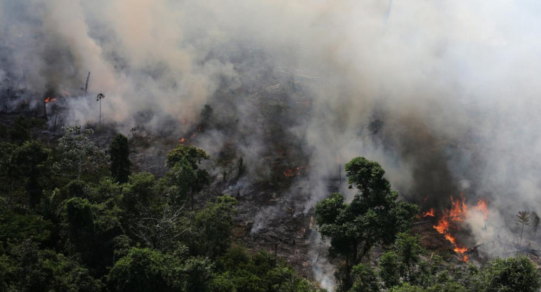 Incendio en la Amazonia, REUTERS