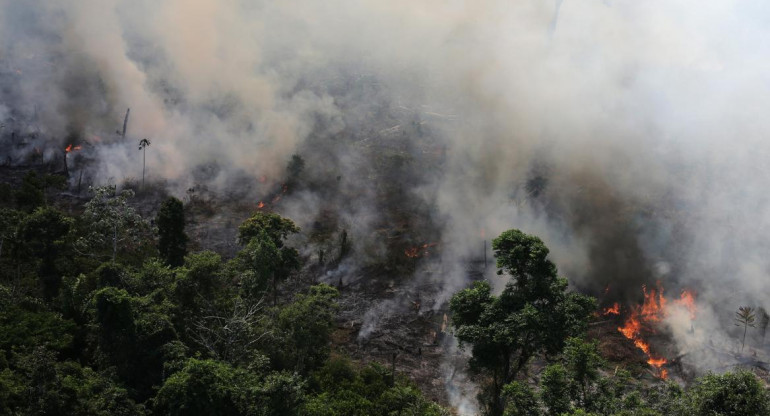 Incendio en la Amazonia, REUTERS