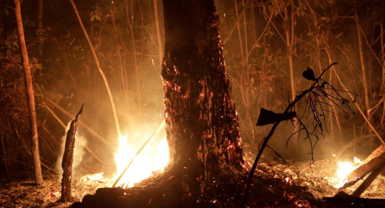  Amazonia, nuevos focos de incendio y más protestas contra Bolsonaro, REUTERS