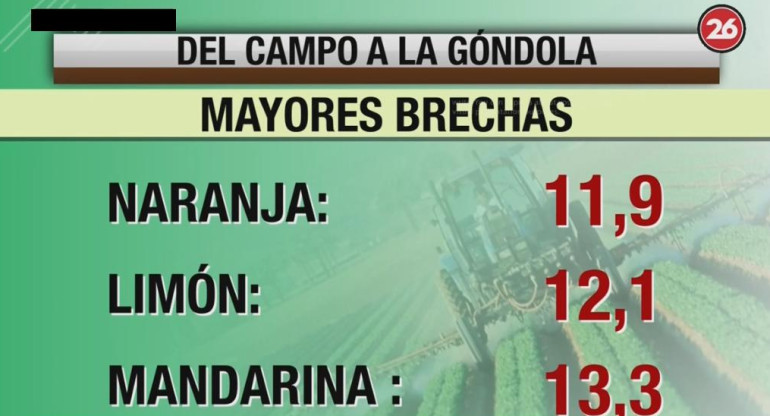 Brecha de precios entre campo y góndola, Canal 26