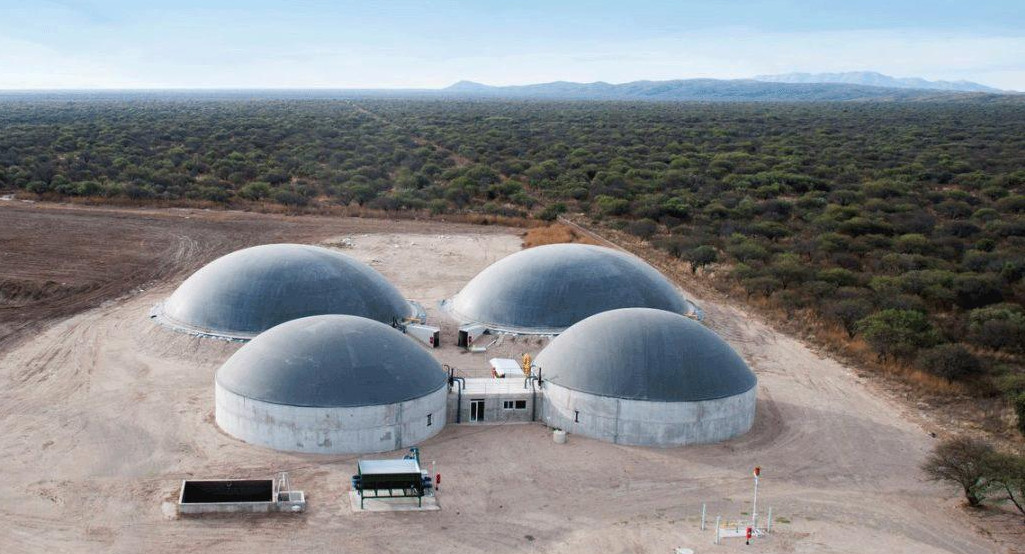 Biogás, industria argentina