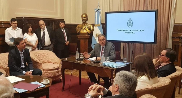 Reunión de la bicameral de implementación del nuevo Código Procesal Penal. 