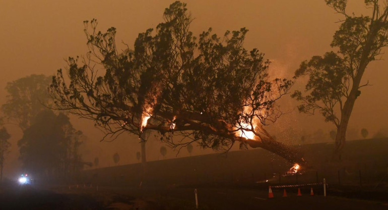 Incendios en Australia, REUTERS