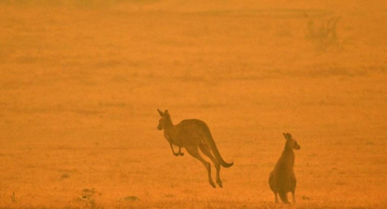 Incendios en Australia