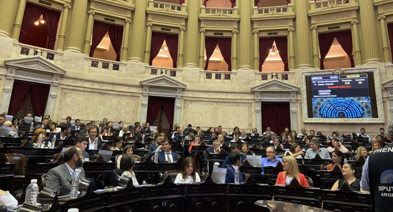 Votación del Consenso Fiscal en Diputados