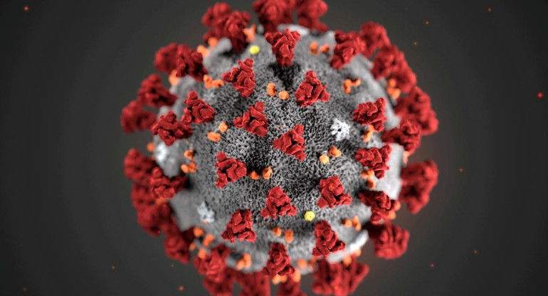 Ilustración, creada en los Centros para el Control y la Prevención de Enfermedades (CDC), muestra el nuevo coronavirus 2019, Reuters