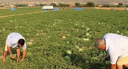 Agricultores en Europa, coronavirus