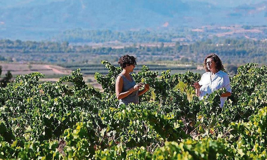 Agricultores en Europa, coronavirus