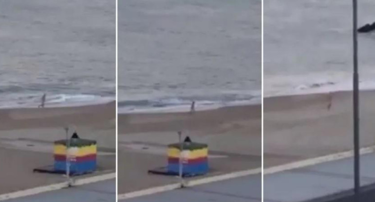 Violó la cuarentena para meterse desnudo al mar en Mar del Plata