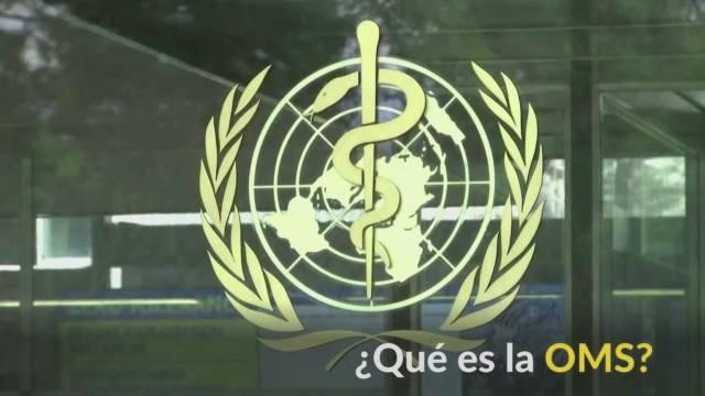 OMS, Organización Mundial de la Salud, bajo la mirada de todos ante el coronavirus, REUTERS