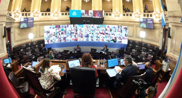 Senado, primera sesión virtual, Cristina Fernández de Kirchner, Foto Presidencia