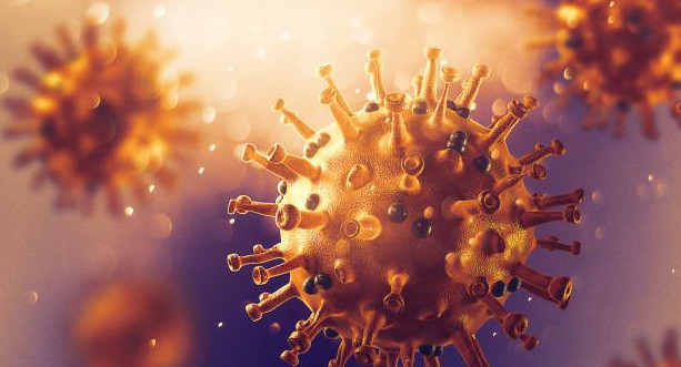 Coronavirus en el mundo